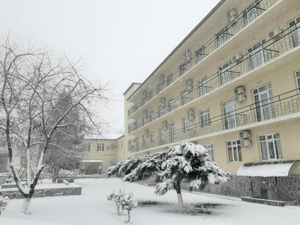 Gabala Hotel Dasca Екстер'єр фото
